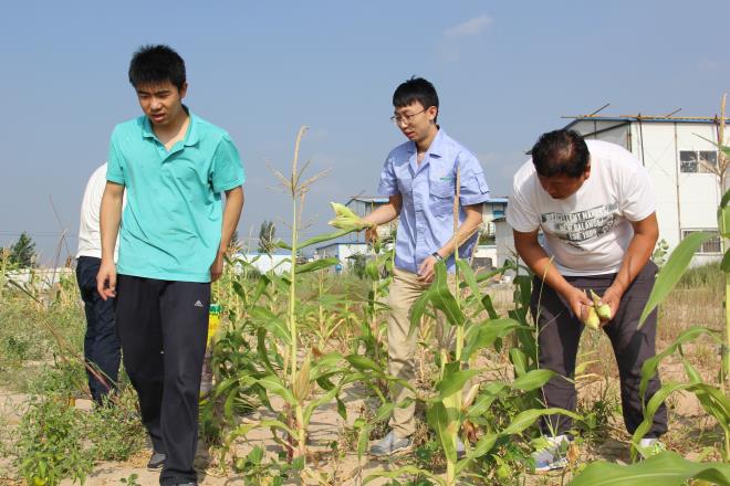 多彩生活——摘蔬菜、掰玉米